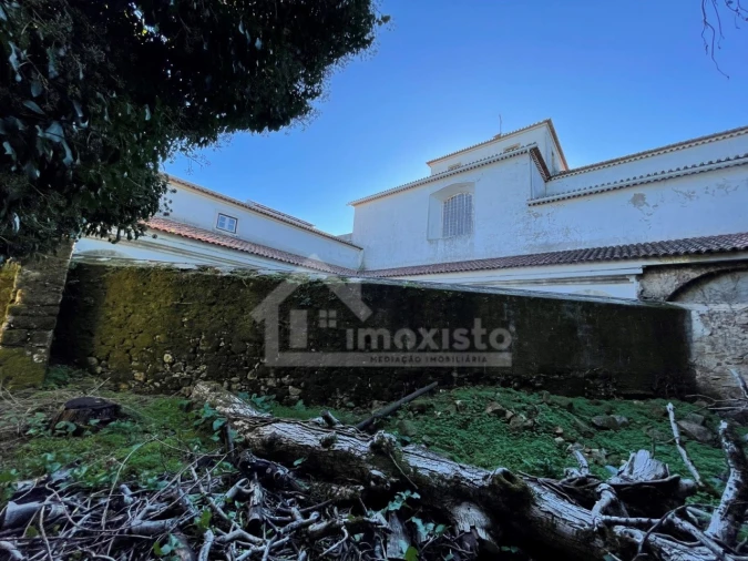 Quinta T6 para Venda em Figueiró dos Vinhos e Bairradas Foto 35