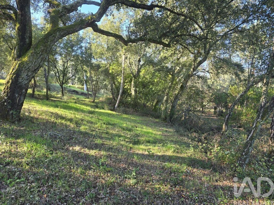 Terreno para Venda em Poiares (Santo Andre) Foto 17