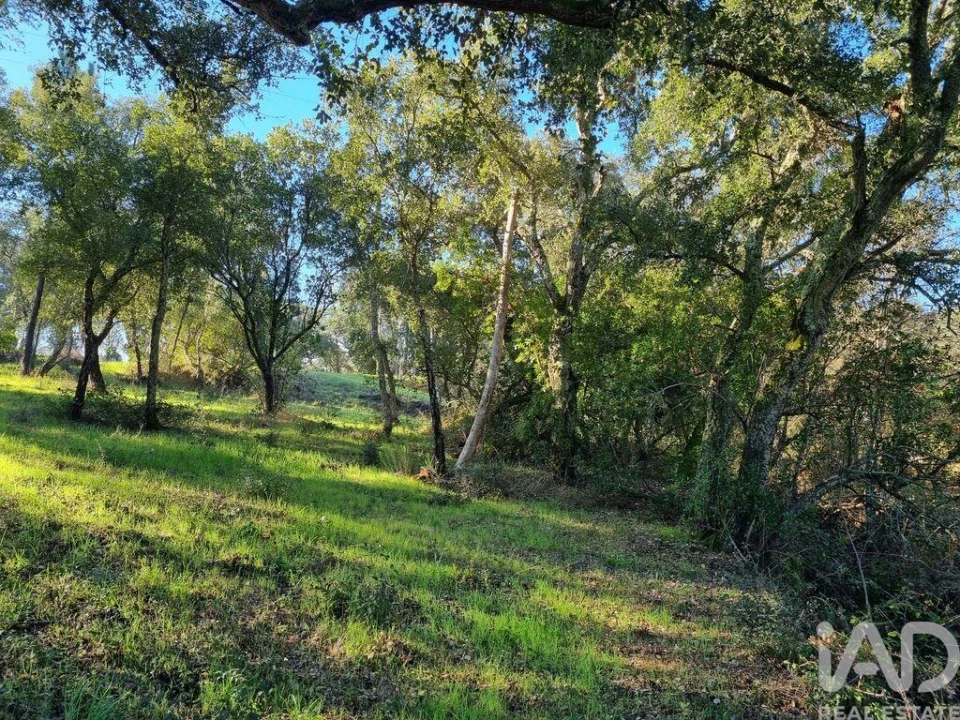 Terreno para Venda em Poiares (Santo Andre) Foto 18