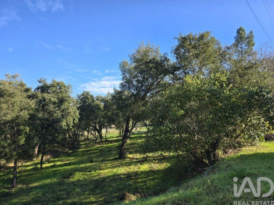 Terreno para Venda em Poiares (Santo Andre) Foto 25
