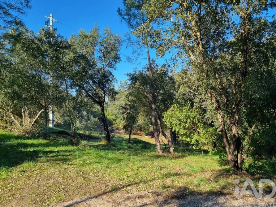 Terreno para Venda em Poiares (Santo Andre) Foto 11