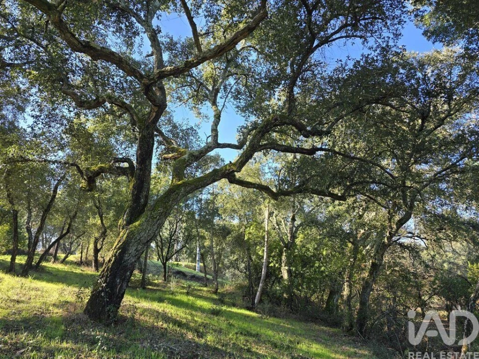 Terreno para Venda em Poiares (Santo Andre) Foto 14