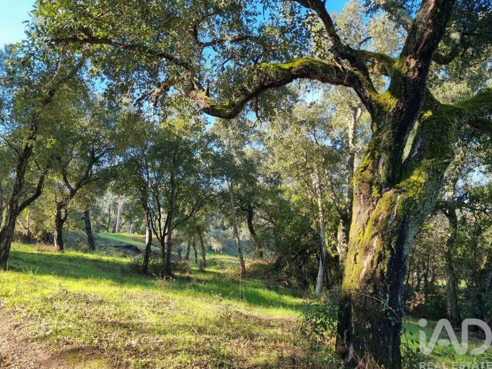 Terreno para Venda em Poiares (Santo Andre) Foto 16