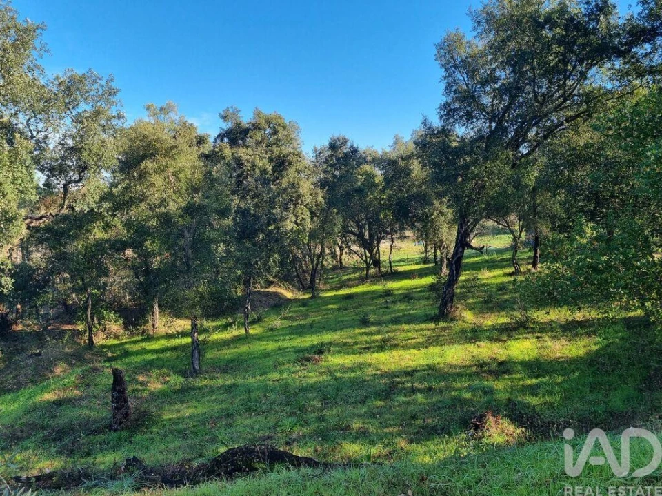 Terreno para Venda em Poiares (Santo Andre) Foto 9