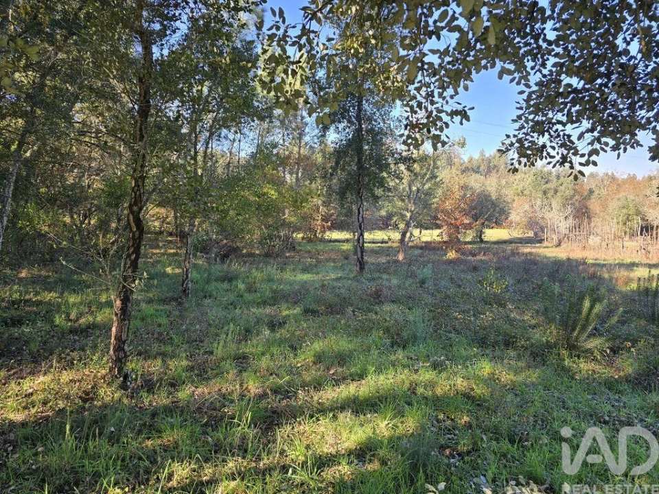 Terreno para Venda em Poiares (Santo Andre) Foto 26