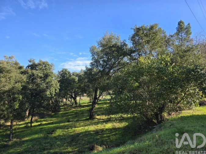 Terreno para Venda em Poiares (Santo Andre) Foto 25