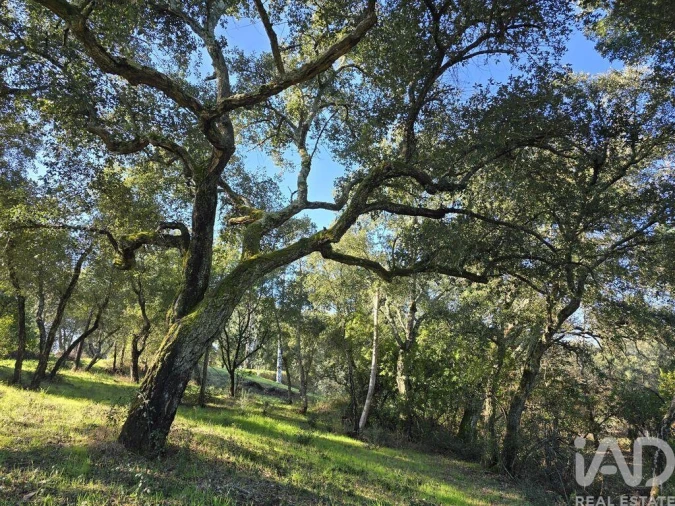 Terreno para Venda em Poiares (Santo Andre) Foto 14