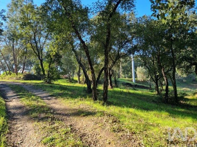 Terreno para Venda em Poiares (Santo Andre) Foto 2