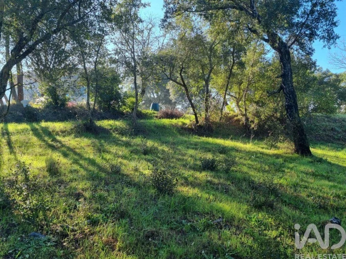 Terreno para Venda em Poiares (Santo Andre) Foto 20