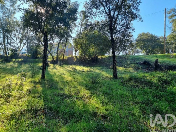 Terreno para Venda em Poiares (Santo Andre) Foto 21
