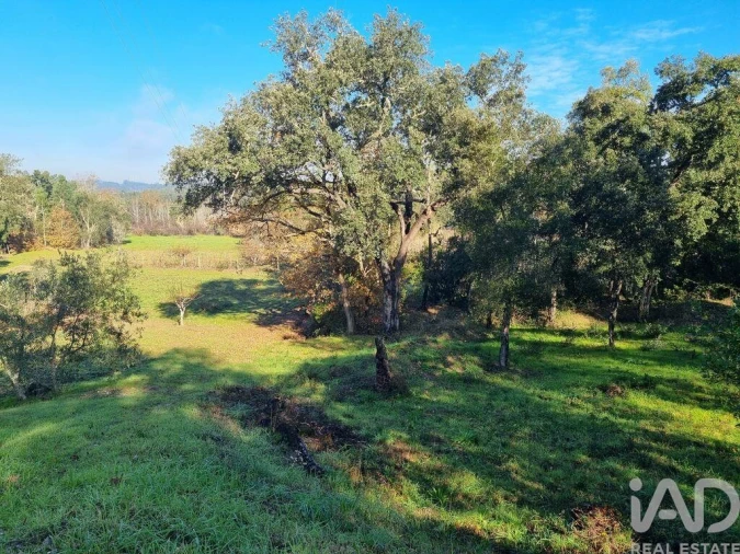 Terreno para Venda em Poiares (Santo Andre) Foto 8