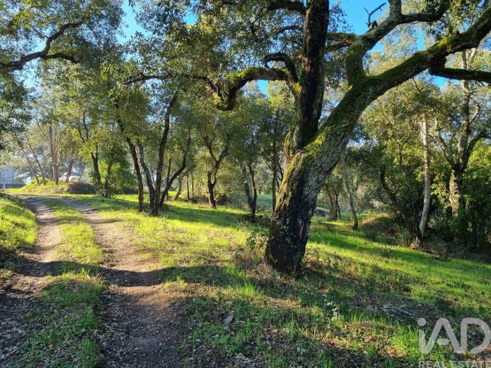 Terreno para Venda em Poiares (Santo Andre) Foto 1