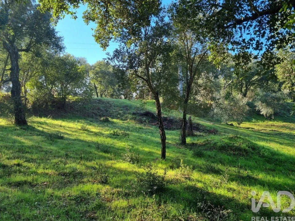 Terreno para Venda em Poiares (Santo Andre) Foto 22