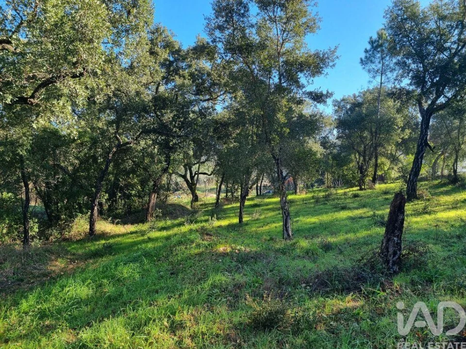 Terreno para Venda em Poiares (Santo Andre) Foto 23