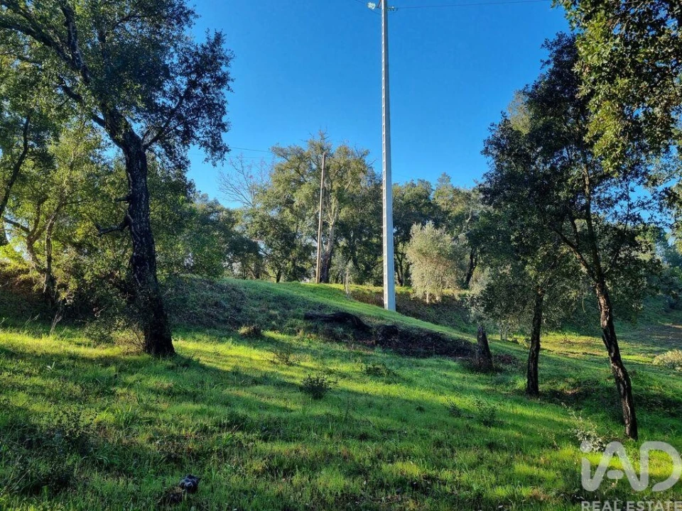 Terreno para Venda em Poiares (Santo Andre) Foto 19