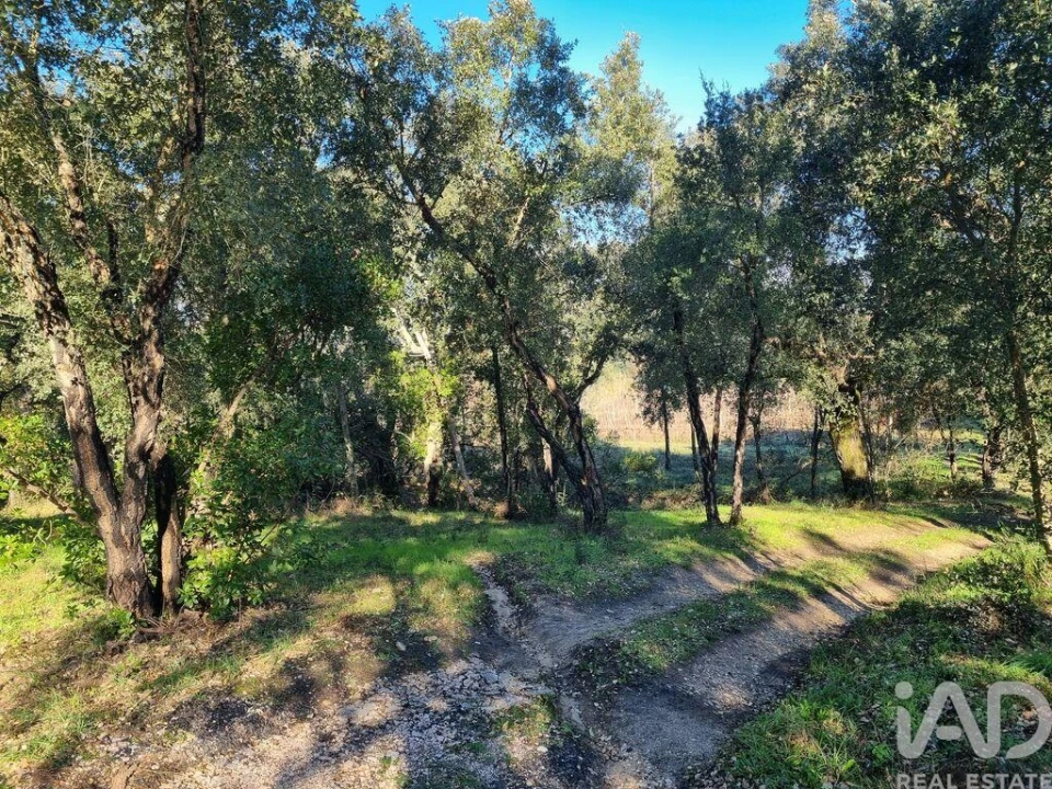 Terreno para Venda em Poiares (Santo Andre) Foto 12