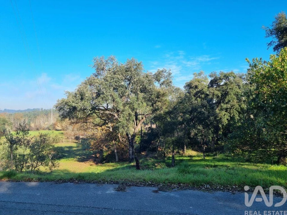 Terreno para Venda em Poiares (Santo Andre) Foto 7