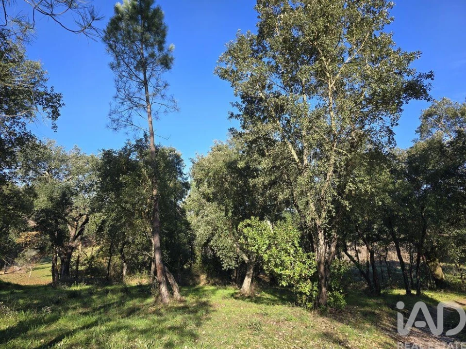 Terreno para Venda em Poiares (Santo Andre) Foto 10