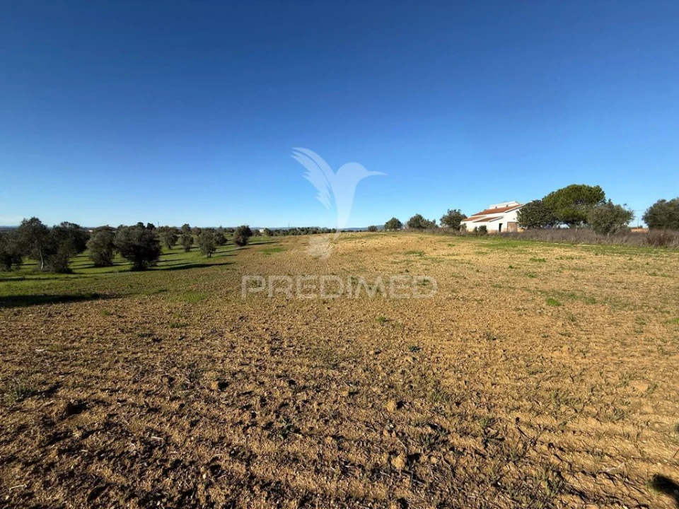 Armazém para Venda em Casével e Vaqueiros Foto 8