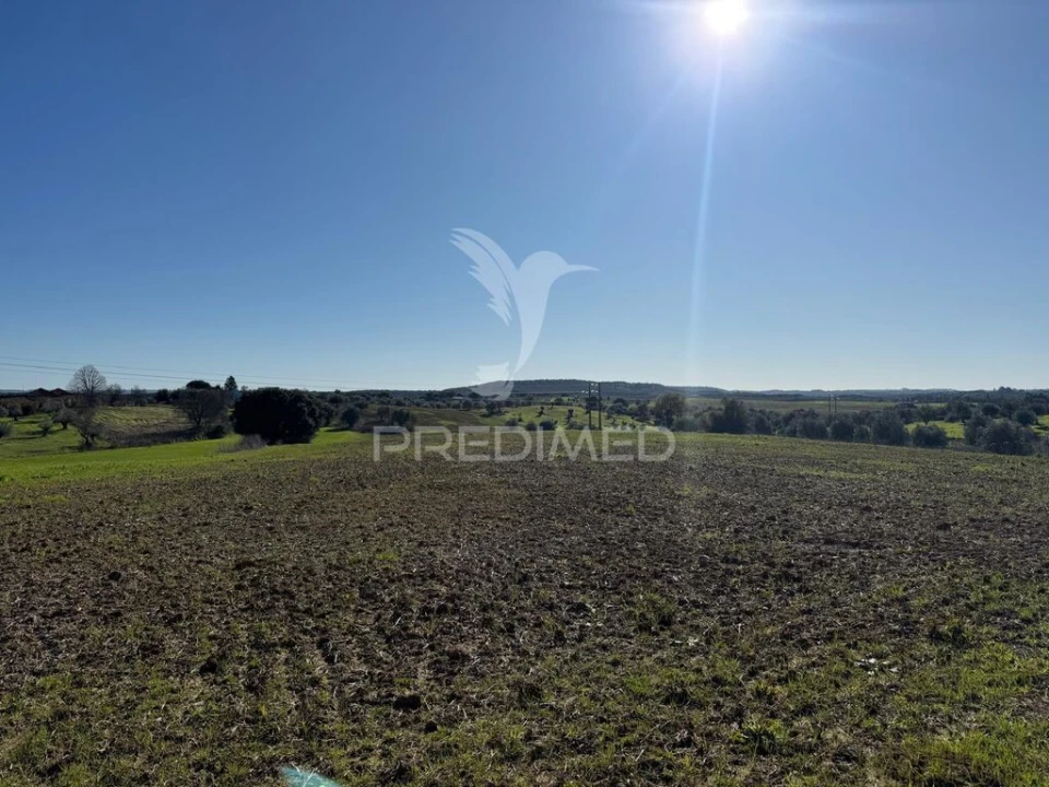 Armazém para Venda em Casével e Vaqueiros Foto 14
