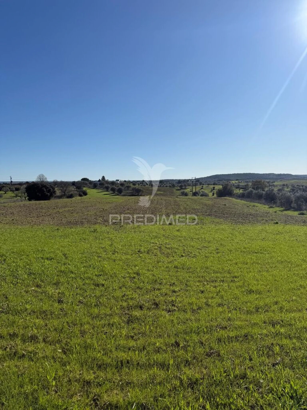 Armazém para Venda em Casével e Vaqueiros Foto 9