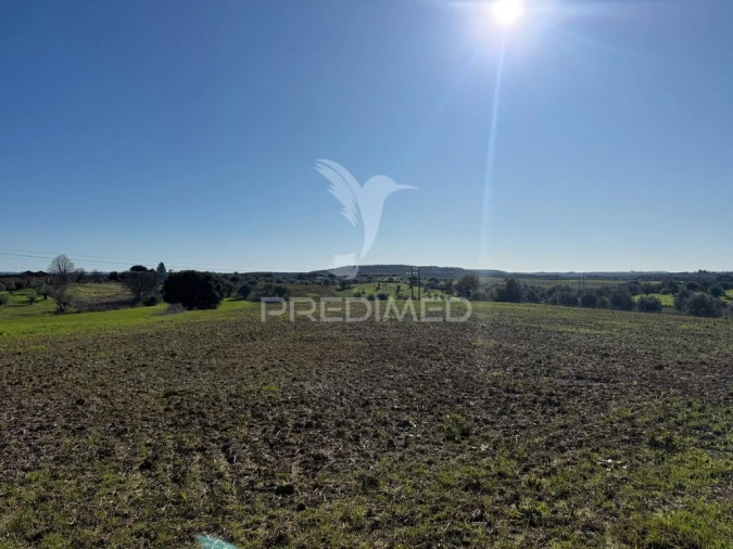 Armazém para Venda em Casével e Vaqueiros Foto 14