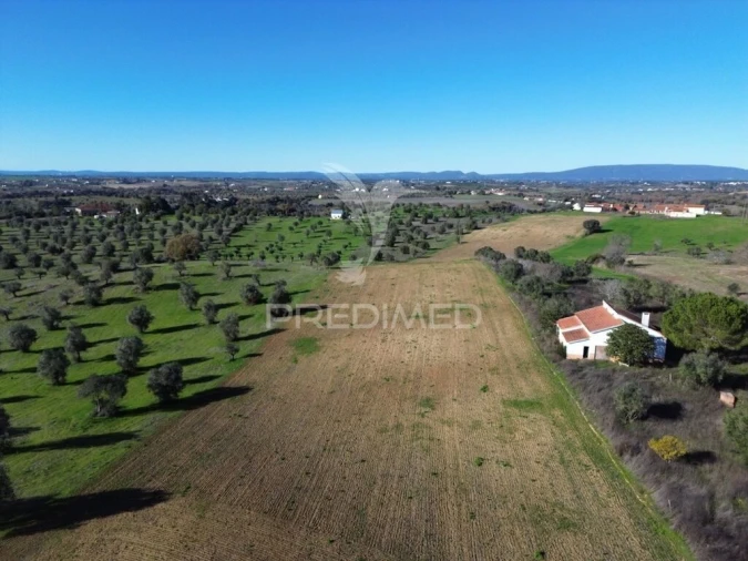 Armazém para Venda em Casével e Vaqueiros Foto 18
