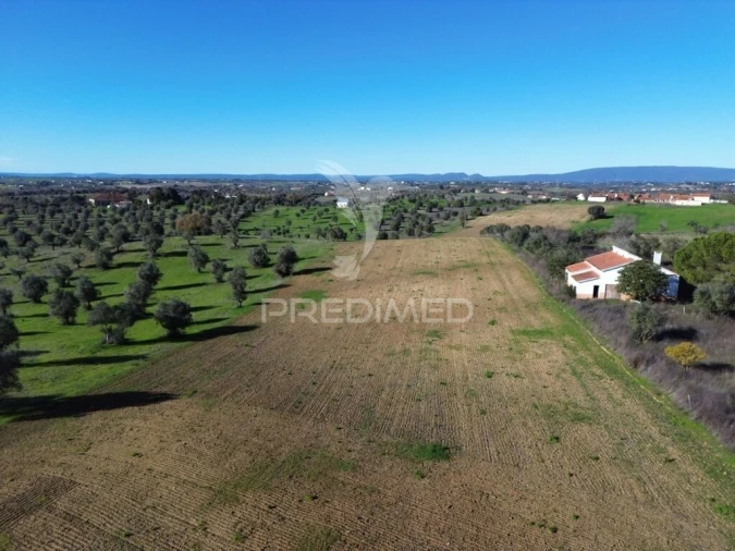 Armazém para Venda em Casével e Vaqueiros Foto 17