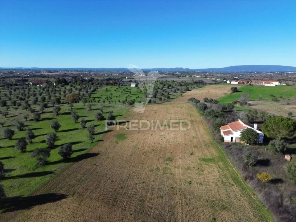 Armazém para Venda em Casével e Vaqueiros Foto 18