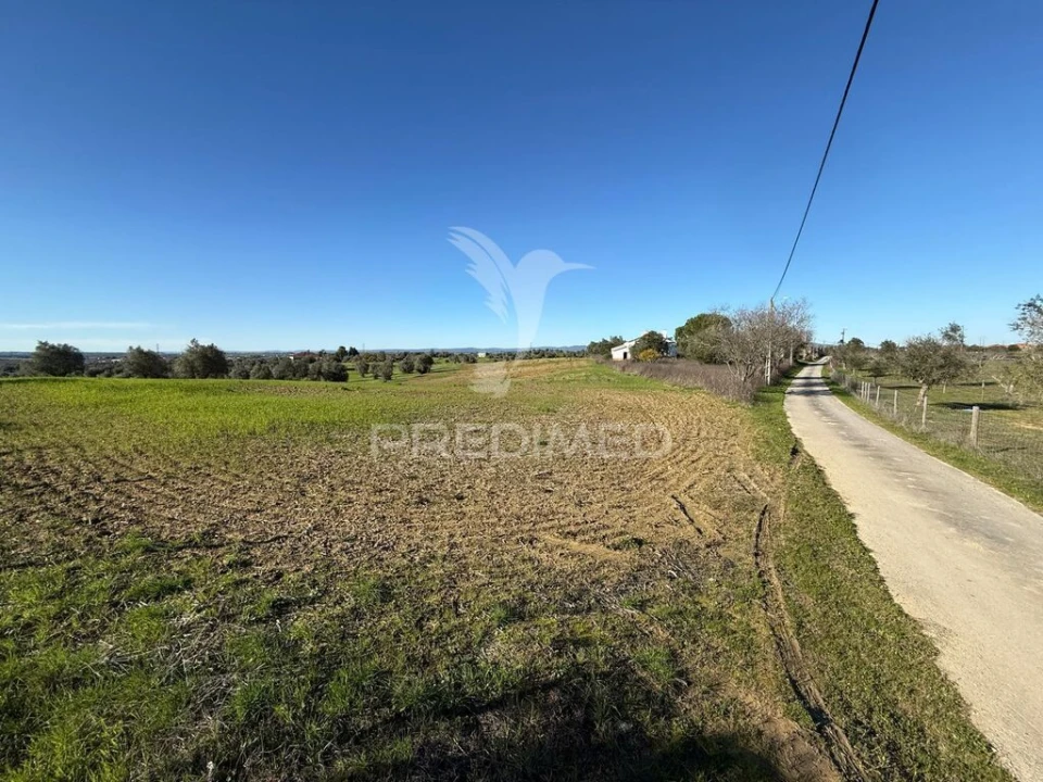 Armazém para Venda em Casével e Vaqueiros Foto 6
