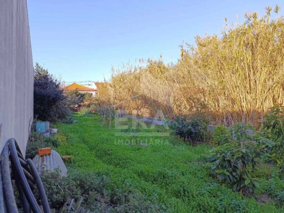 Loja para Venda em Ílhavo (São Salvador) Foto 11