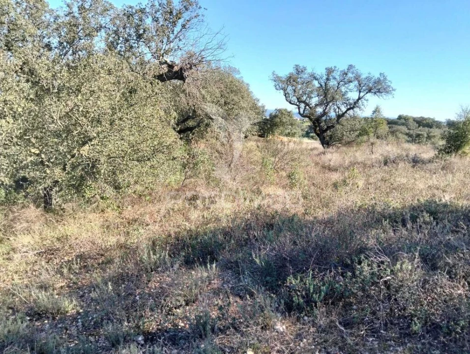 Terreno para Venda em Nossa Senhora da Conceição, São Brás dos Matos, Juromenha Foto 5