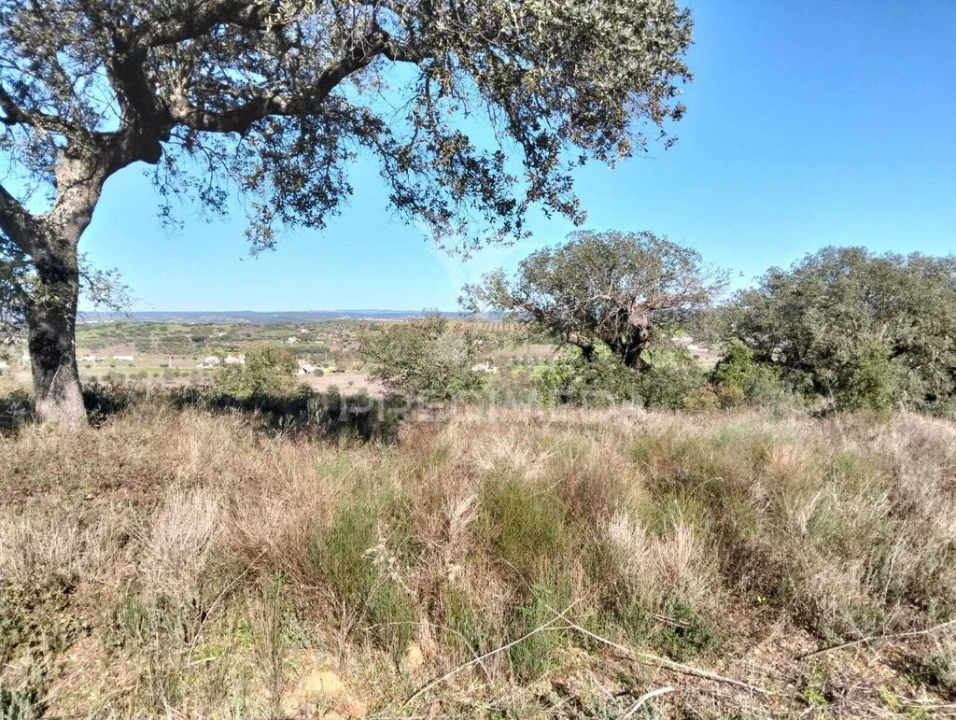 Terreno para Venda em Nossa Senhora da Conceição, São Brás dos Matos, Juromenha Foto 6
