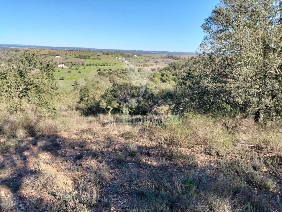 Terreno para Venda em Nossa Senhora da Conceição, São Brás dos Matos, Juromenha Foto 9