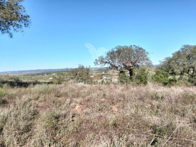 Terreno para Venda em Nossa Senhora da Conceição, São Brás dos Matos, Juromenha Foto 11
