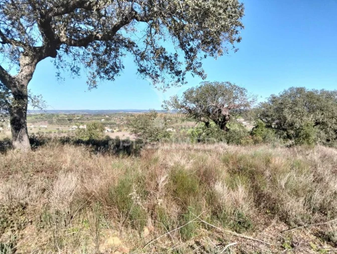 Terreno para Venda em Nossa Senhora da Conceição, São Brás dos Matos, Juromenha Foto 6