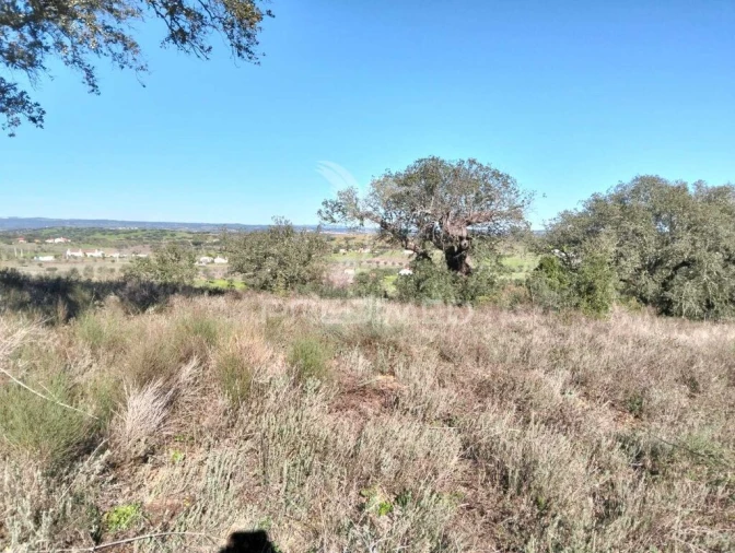 Terreno para Venda em Nossa Senhora da Conceição, São Brás dos Matos, Juromenha Foto 8
