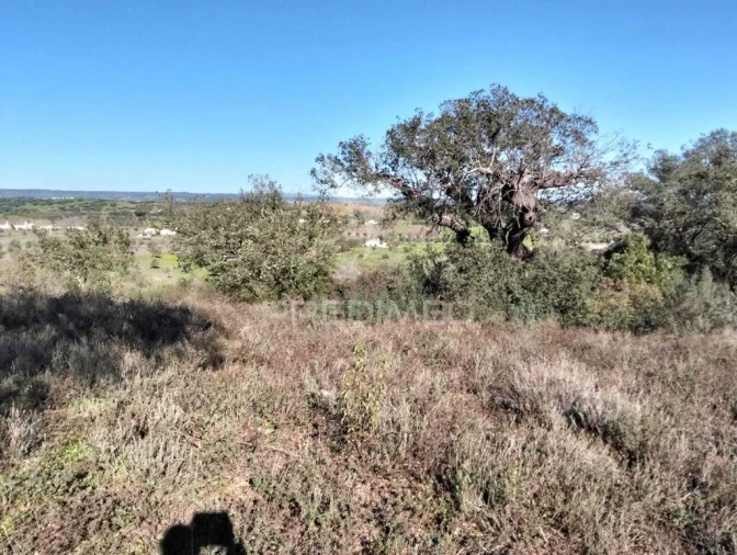 Terreno para Venda em Nossa Senhora da Conceição, São Brás dos Matos, Juromenha Foto 7