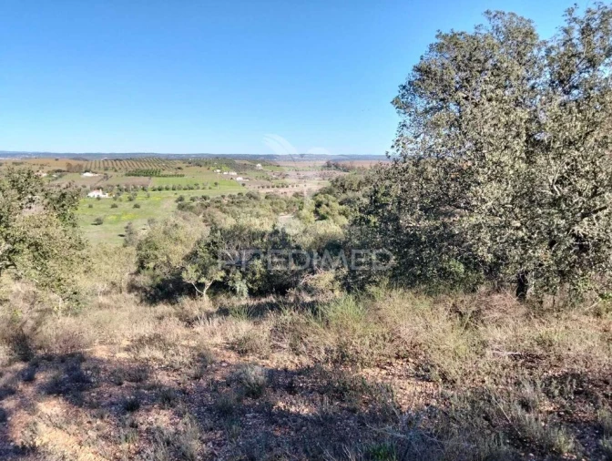 Terreno para Venda em Nossa Senhora da Conceição, São Brás dos Matos, Juromenha Foto 16