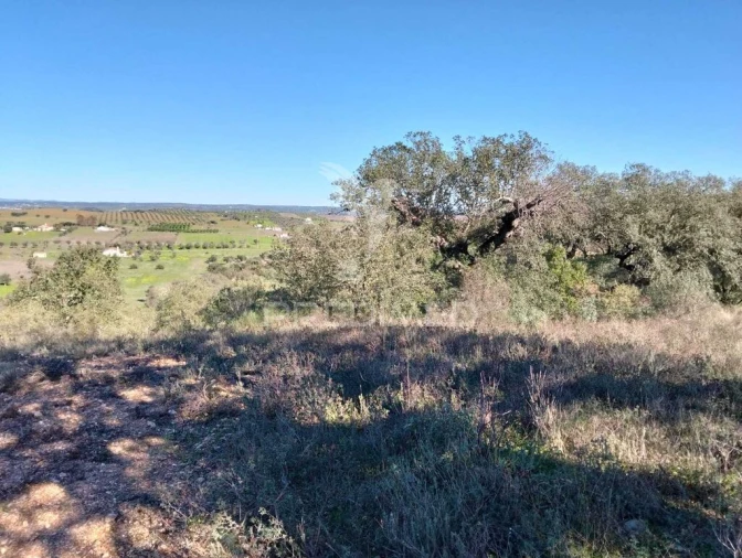 Terreno para Venda em Nossa Senhora da Conceição, São Brás dos Matos, Juromenha Foto 12