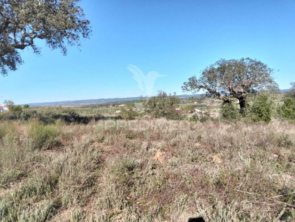 Terreno para Venda em Nossa Senhora da Conceição, São Brás dos Matos, Juromenha Foto 15