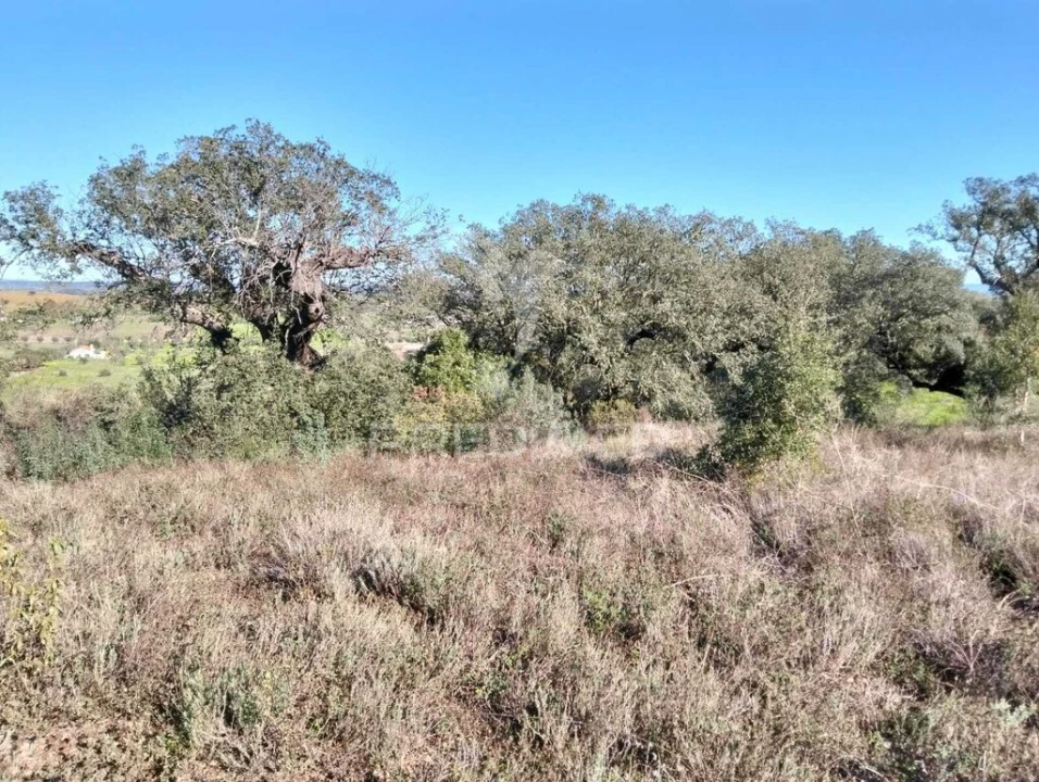 Terreno para Venda em Nossa Senhora da Conceição, São Brás dos Matos, Juromenha Foto 10
