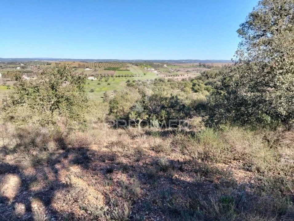 Terreno para Venda em Nossa Senhora da Conceição, São Brás dos Matos, Juromenha Foto 1