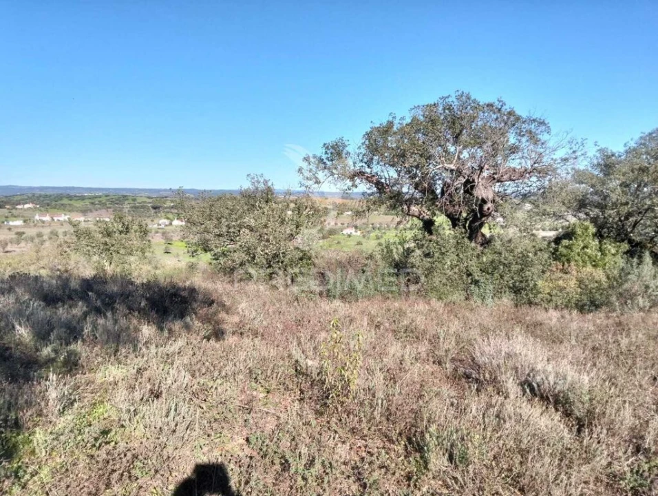 Terreno para Venda em Nossa Senhora da Conceição, São Brás dos Matos, Juromenha Foto 2