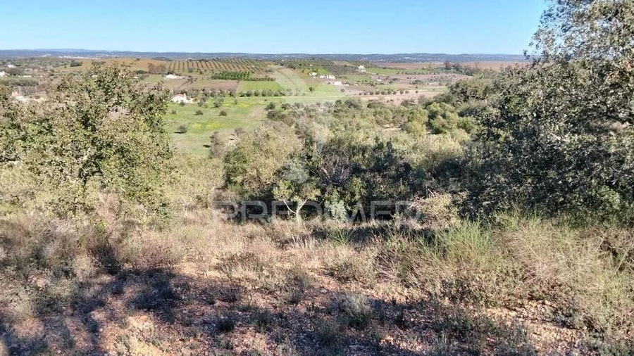 Terreno para Venda em Nossa Senhora da Conceição, São Brás dos Matos, Juromenha