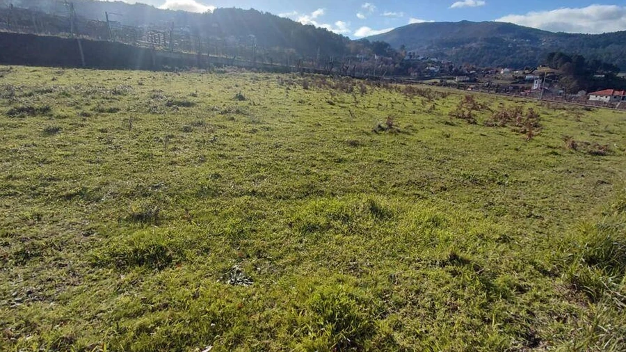 Terreno para Venda em Paderne