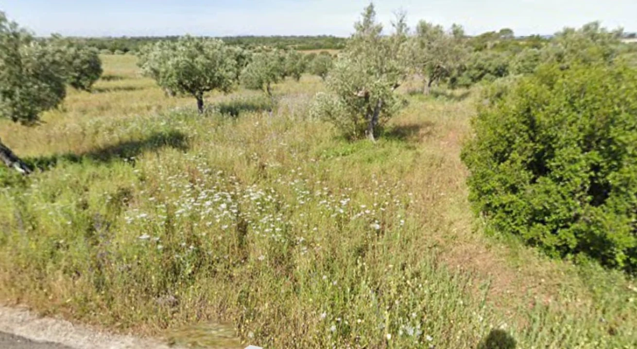 Terreno Agricola ou Rústico para Venda em Azoia de Cima e Tremês Foto 1