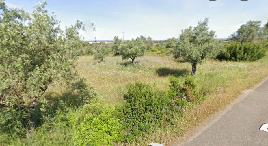 Terreno Agricola ou Rústico para Venda em Azoia de Cima e Tremês Foto 2