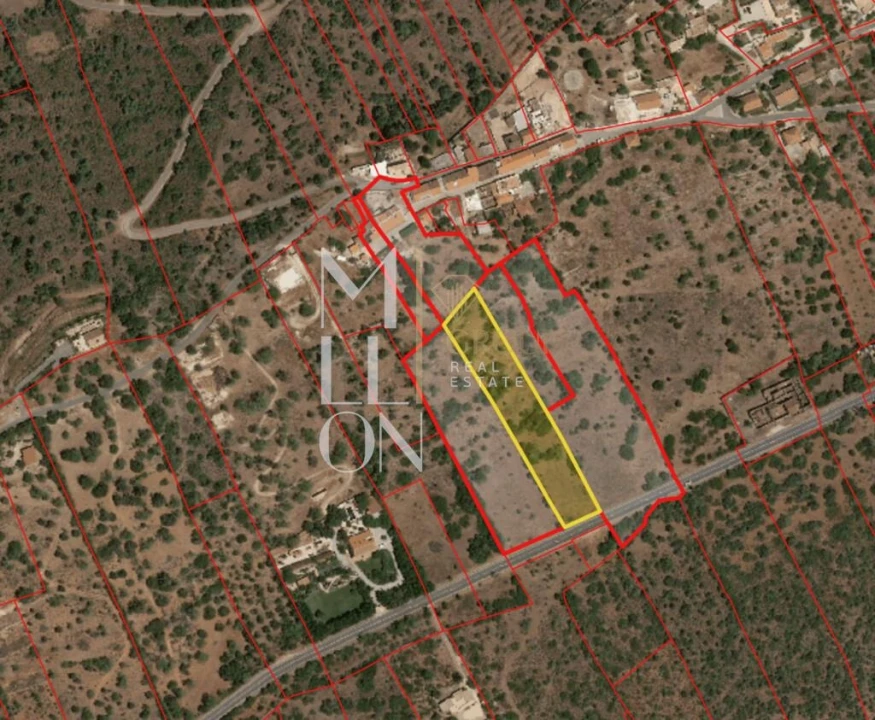 Terreno para Venda em São Bartolomeu de Messines Foto 1