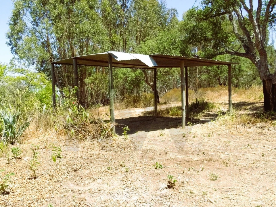 Quinta para Venda em Branca Foto 35